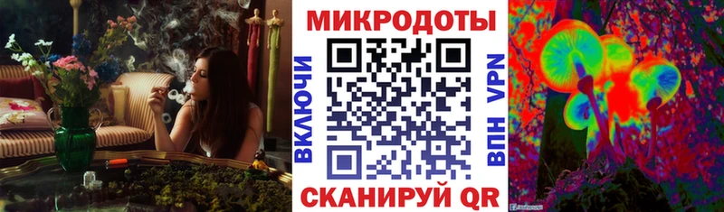 как найти закладки  Староминская  Псилоцибиновые грибы мицелий 